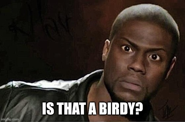 Kevin Hart Meme | IS THAT A BIRDY? | image tagged in memes,kevin hart | made w/ Imgflip meme maker