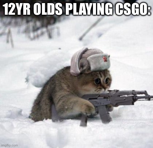 Cute Sad Soviet War Kitten | 12YR OLDS PLAYING CSGO: | image tagged in cute sad soviet war kitten,gaming,funny memes,cats | made w/ Imgflip meme maker