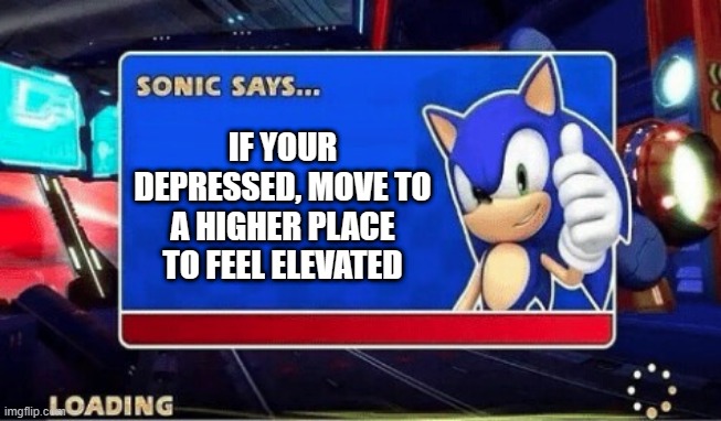 Sonic Says | IF YOUR DEPRESSED, MOVE TO A HIGHER PLACE TO FEEL ELEVATED | image tagged in sonic says | made w/ Imgflip meme maker