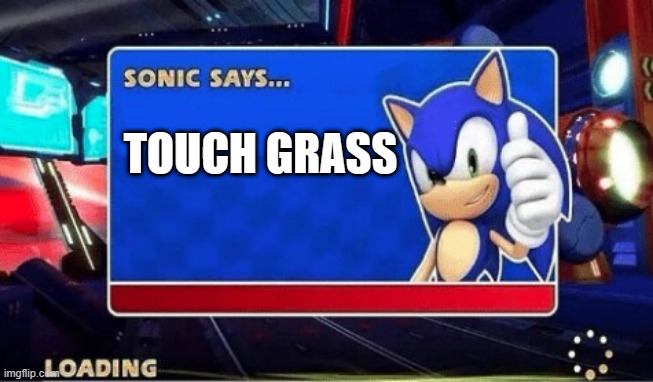sonic says Touch | TOUCH GRASS | image tagged in sonic says,grass | made w/ Imgflip meme maker