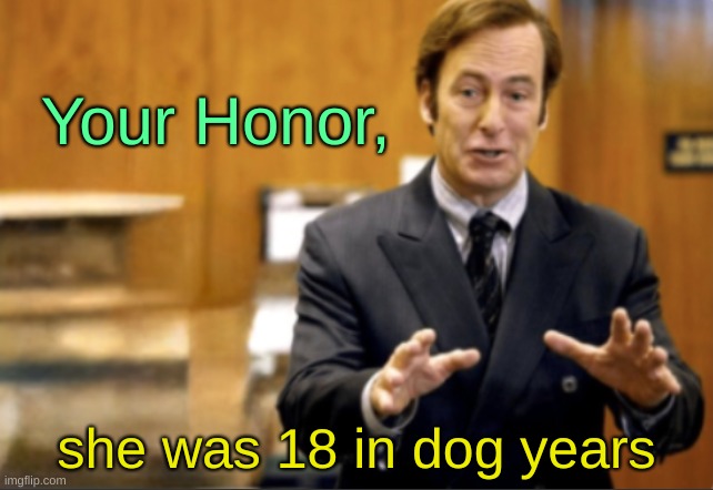 /j | Your Honor, she was 18 in dog years | image tagged in saul goodman defending | made w/ Imgflip meme maker