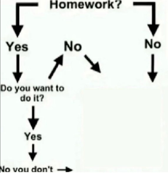 Homework Flowchart Blank Meme Template