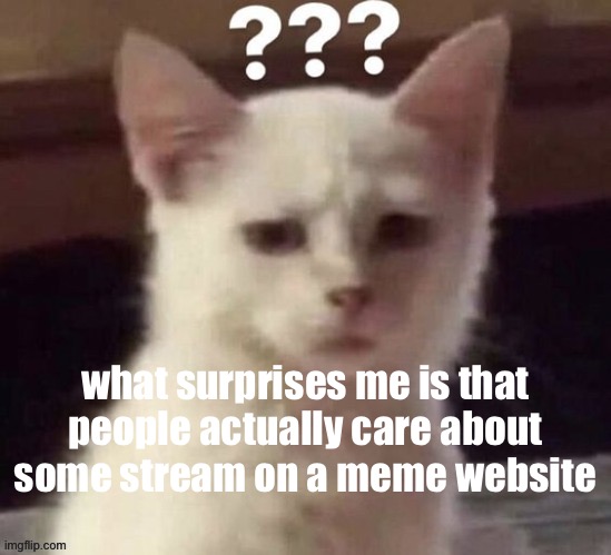 like- | what surprises me is that people actually care about some stream on a meme website | made w/ Imgflip meme maker