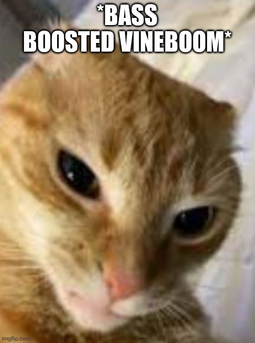 Rizz cat | *BASS BOOSTED VINEBOOM* | image tagged in rizz cat | made w/ Imgflip meme maker