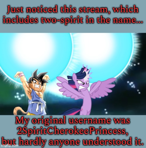 For a small stream you sure have a lot of rules. | Just noticed this stream, which includes two-spirit in the name... My original username was 2SpiritCherokeePrincess, but hardly anyone understood it. | image tagged in double spirit bomb dbz mlp,native american,culture,acceptance,diversity,tolerance | made w/ Imgflip meme maker