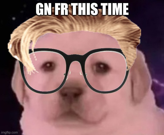 Sp3x_ puppers | GN FR THIS TIME | image tagged in sp3x_ puppers | made w/ Imgflip meme maker