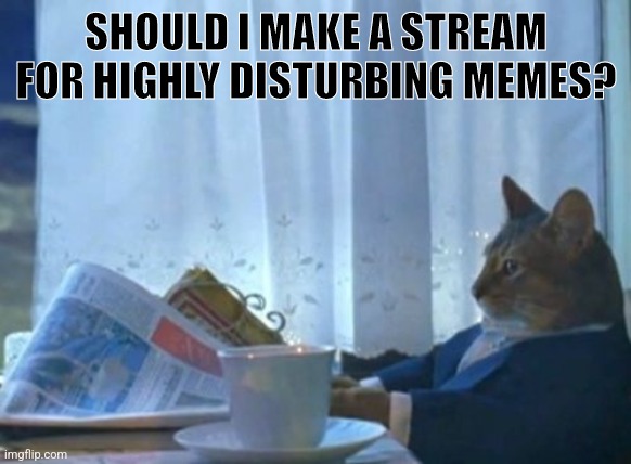 I Should Buy A Boat Cat Meme | SHOULD I MAKE A STREAM FOR HIGHLY DISTURBING MEMES? | image tagged in memes,i should buy a boat cat | made w/ Imgflip meme maker