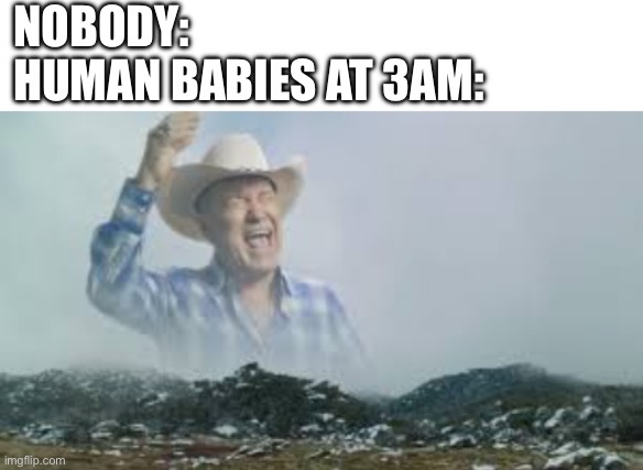 NOBODY:
HUMAN BABIES AT 3AM: | image tagged in blank white template,jimmy barnes screaming | made w/ Imgflip meme maker