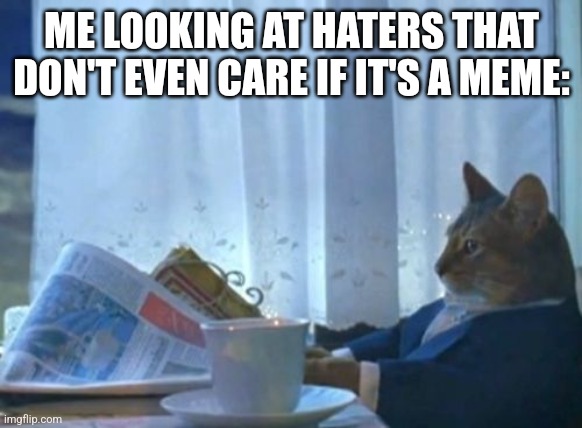 I Should Buy A Boat Cat | ME LOOKING AT HATERS THAT DON'T EVEN CARE IF IT'S A MEME: | image tagged in memes,i should buy a boat cat | made w/ Imgflip meme maker