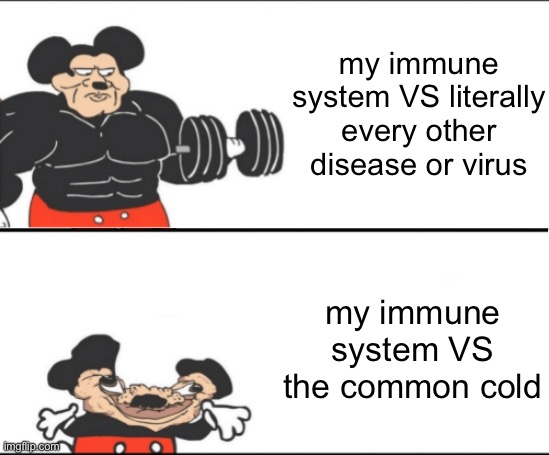 genetics screwed me over | my immune system VS literally every other disease or virus; my immune system VS the common cold | image tagged in strong mickey vs weak mickey,immune system,sickness,disease,not a covid reference please shut up | made w/ Imgflip meme maker