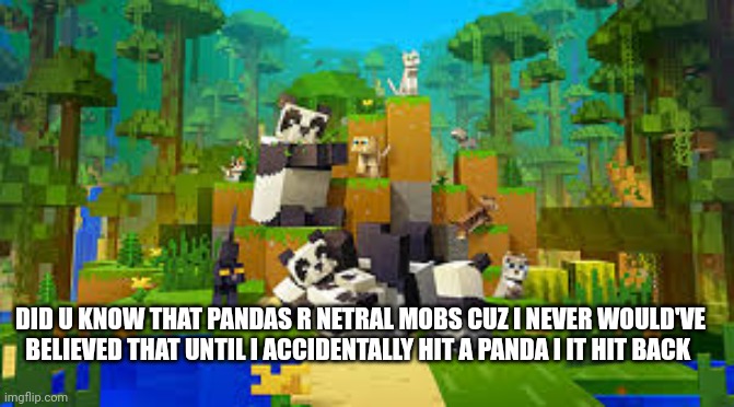 minecraft panda | DID U KNOW THAT PANDAS R NETRAL MOBS CUZ I NEVER WOULD'VE BELIEVED THAT UNTIL I ACCIDENTALLY HIT A PANDA I IT HIT BACK | image tagged in minecraft panda | made w/ Imgflip meme maker