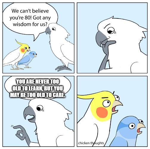 wise cockatoo | YOU ARE NEVER TOO OLD TO LEARN, BUT YOU MAY BE TOO OLD TO CARE. | image tagged in wise old cockatoo | made w/ Imgflip meme maker