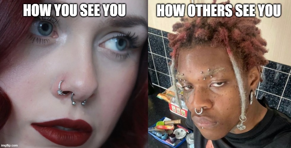 Nose rings | HOW OTHERS SEE YOU; HOW YOU SEE YOU | image tagged in fashion | made w/ Imgflip meme maker
