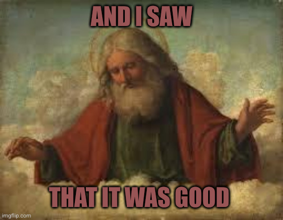 god | AND I SAW THAT IT WAS GOOD | image tagged in god | made w/ Imgflip meme maker