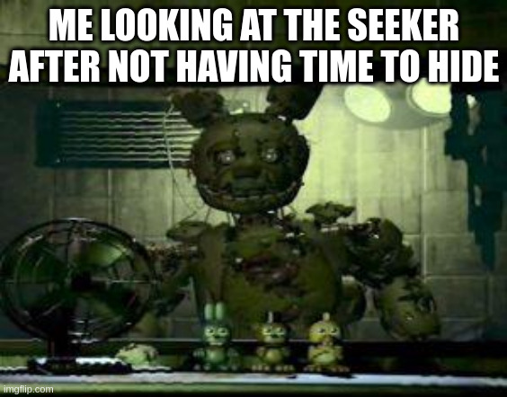 FNAF Springtrap in window | ME LOOKING AT THE SEEKER AFTER NOT HAVING TIME TO HIDE | image tagged in fnaf springtrap in window | made w/ Imgflip meme maker