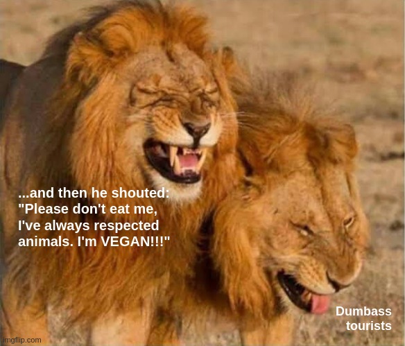 ...at least worth for something | ...and then he shouted:
"Please don't eat me, 
I've always respected
animals. I'm VEGAN!!!"; Dumbass
tourists | image tagged in laughing lions,funny,meme,vegan,safari,funny food | made w/ Imgflip meme maker