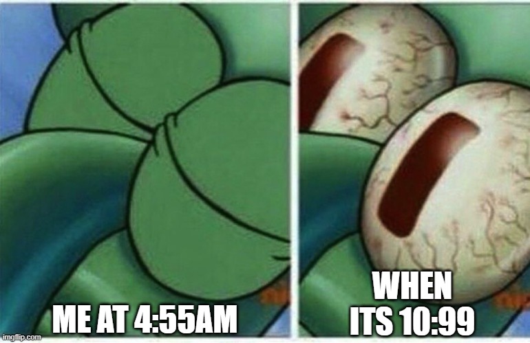 time changed.. TIME CHANGED!!?!?!? | ME AT 4:55AM; WHEN ITS 10:99 | image tagged in squidward,sleep,memes,funny,epic,nice | made w/ Imgflip meme maker