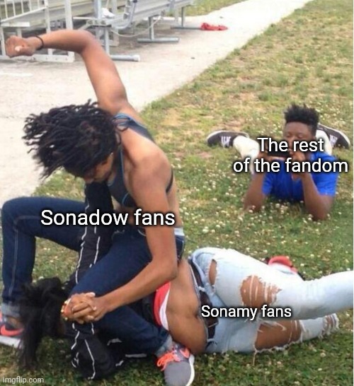 Guy recording a fight | The rest of the fandom; Sonadow fans; Sonamy fans | image tagged in guy recording a fight | made w/ Imgflip meme maker