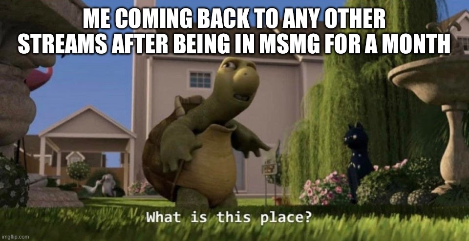 What is this place | ME COMING BACK TO ANY OTHER STREAMS AFTER BEING IN MSMG FOR A MONTH | image tagged in what is this place | made w/ Imgflip meme maker