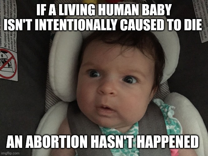 What did you think it was? | IF A LIVING HUMAN BABY ISN'T INTENTIONALLY CAUSED TO DIE; AN ABORTION HASN'T HAPPENED | image tagged in sudden realization infant | made w/ Imgflip meme maker