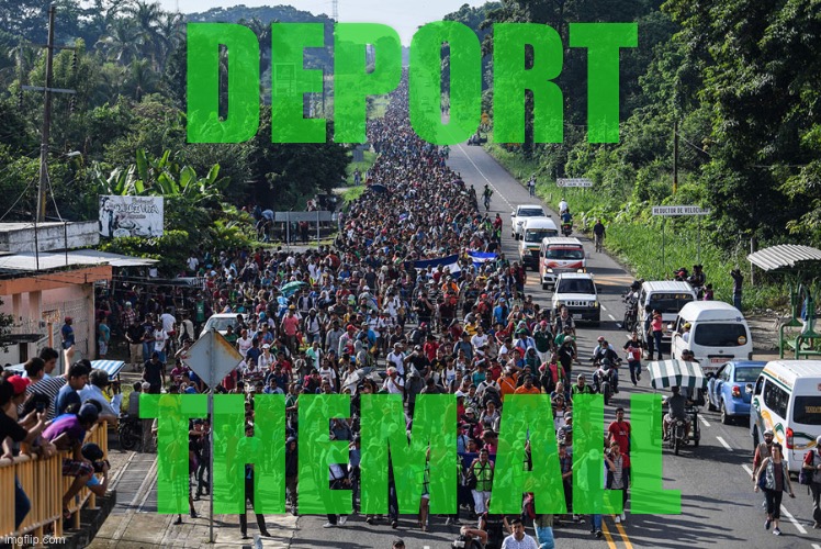 NO AMNESTY. They come here with no guarantee of citizenship and no respect for our laws. | DEPORT; THEM ALL | image tagged in immigrant caravan,no amnesty,deport | made w/ Imgflip meme maker