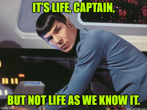 Spock | IT'S LIFE, CAPTAIN, BUT NOT LIFE AS WE KNOW IT. | image tagged in spock | made w/ Imgflip meme maker