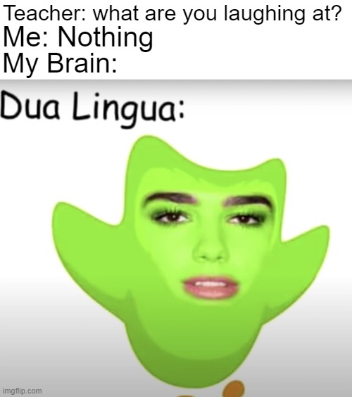 Duolingo Dua Lipa | Teacher: what are you laughing at? Me: Nothing; My Brain: | image tagged in memes,duolingo,dua lipa | made w/ Imgflip meme maker