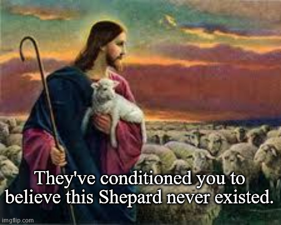 Jesus Christ Sheep Flock | They've conditioned you to believe this Shepard never existed. | image tagged in jesus christ sheep flock | made w/ Imgflip meme maker