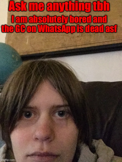 I might post memes in the fun stream if I become more bored. | Ask me anything tbh; I am absolutely bored and the GC on WhatsApp is dead asf | made w/ Imgflip meme maker