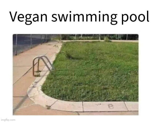 vegan swimming pool | made w/ Imgflip meme maker