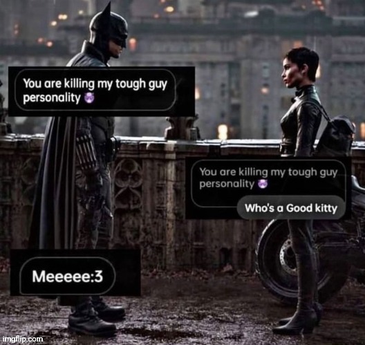 Good kitty | image tagged in kitty,reposts,repost,memes,text messages,text message | made w/ Imgflip meme maker