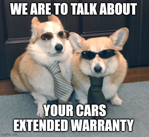 Scammer doge | WE ARE TO TALK ABOUT; YOUR CARS EXTENDED WARRANTY | image tagged in corgis in suits,corgi | made w/ Imgflip meme maker