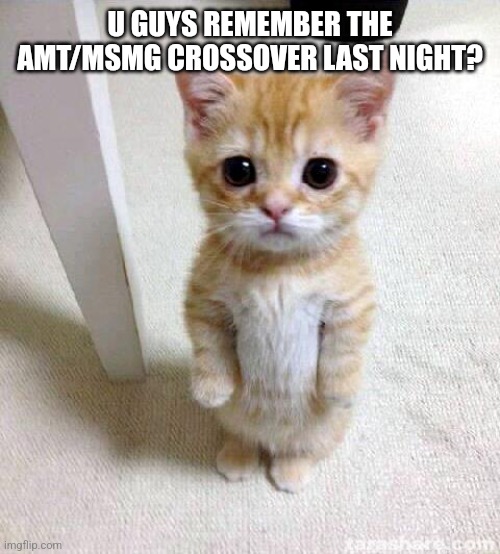 Cute Cat | U GUYS REMEMBER THE AMT/MSMG CROSSOVER LAST NIGHT? | image tagged in memes,cute cat | made w/ Imgflip meme maker