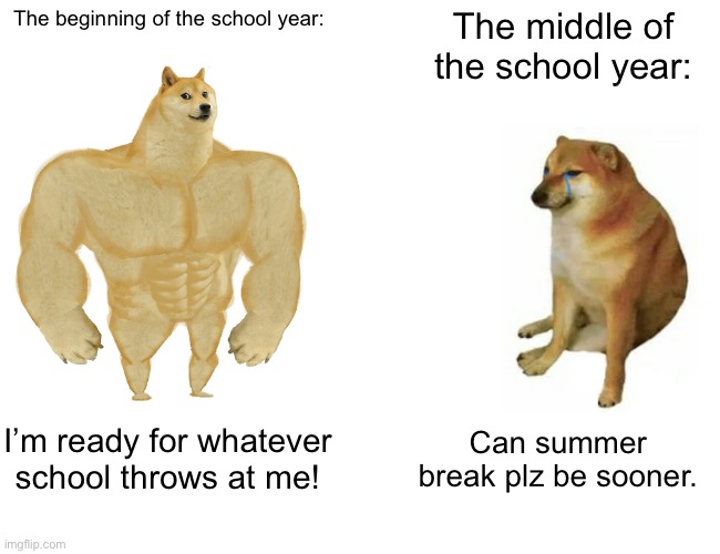 Literally me | The beginning of the school year:; The middle of the school year:; I’m ready for whatever school throws at me! Can summer break plz be sooner. | image tagged in memes,buff doge vs cheems,school | made w/ Imgflip meme maker
