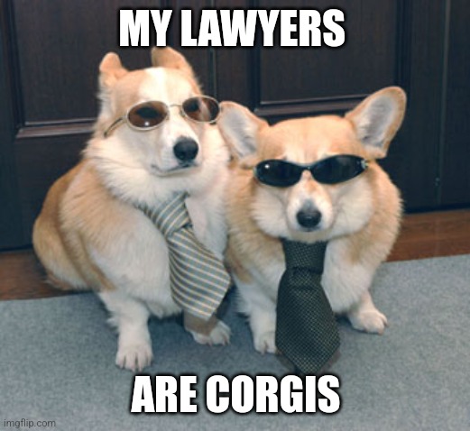 My lawyers are corgis | MY LAWYERS; ARE CORGIS | image tagged in corgis in suits | made w/ Imgflip meme maker