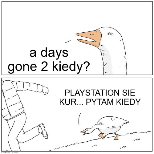 Goose Chase | a days gone 2 kiedy? PLAYSTATION SIE KUR... PYTAM KIEDY | image tagged in goose chase | made w/ Imgflip meme maker