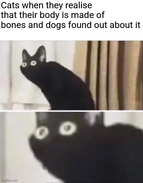Oh No Black Cat | Cats when they realise that their body is made of bones and dogs found out about it | image tagged in oh no black cat | made w/ Imgflip meme maker