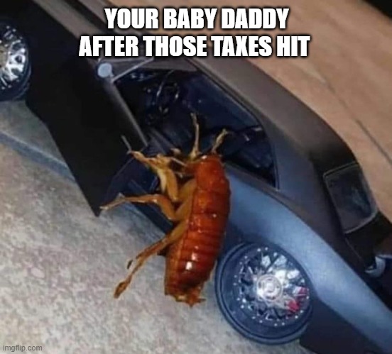 Baby Daddy | YOUR BABY DADDY AFTER THOSE TAXES HIT | image tagged in baby daddy,income taxes,taxes,payday | made w/ Imgflip meme maker