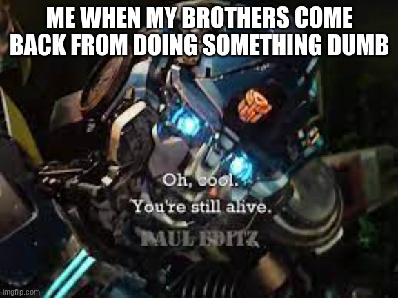 My brothers played dodgeball with a brick | ME WHEN MY BROTHERS COME BACK FROM DOING SOMETHING DUMB | image tagged in brothers,brother,little brother,mirage rotb | made w/ Imgflip meme maker