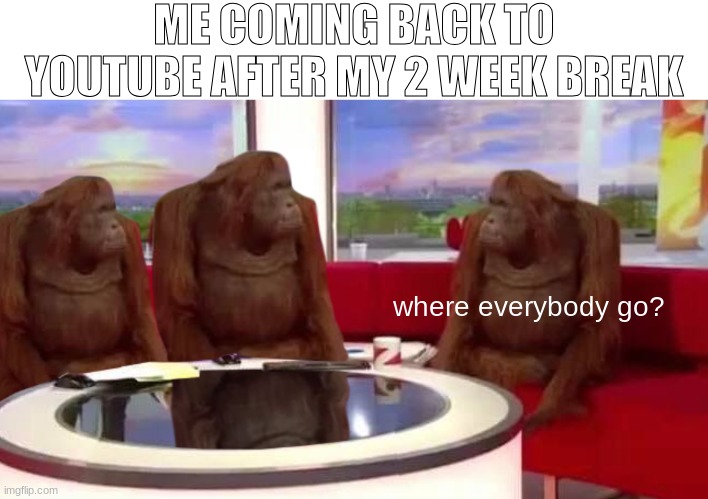 Where DID everybody go? Can somebody catch me up on this? | ME COMING BACK TO YOUTUBE AFTER MY 2 WEEK BREAK; where everybody go? | image tagged in where monkey | made w/ Imgflip meme maker