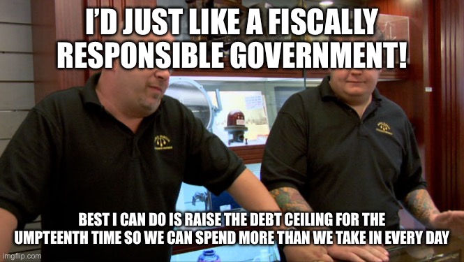 Pawn Stars Best I Can Do | I’D JUST LIKE A FISCALLY RESPONSIBLE GOVERNMENT! BEST I CAN DO IS RAISE THE DEBT CEILING FOR THE UMPTEENTH TIME SO WE CAN SPEND MORE THAN WE TAKE IN EVERY DAY | image tagged in pawn stars best i can do | made w/ Imgflip meme maker