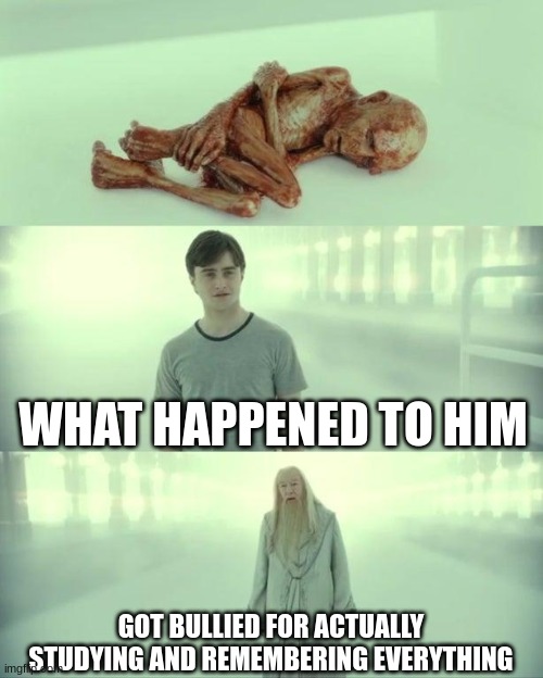 Dead Baby Voldemort / What Happened To Him | WHAT HAPPENED TO HIM GOT BULLIED FOR ACTUALLY STUDYING AND REMEMBERING EVERYTHING | image tagged in dead baby voldemort / what happened to him | made w/ Imgflip meme maker