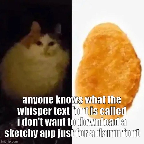 anyone knows what the whisper text font is called i don't want to download a sketchy app just for a damn font | made w/ Imgflip meme maker