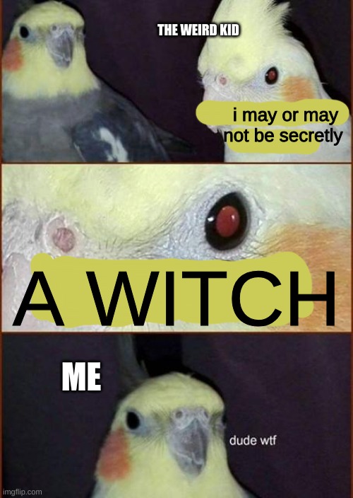 ...why are they like this | THE WEIRD KID; i may or may not be secretly; A WITCH; ME | image tagged in birbs dude wtf | made w/ Imgflip meme maker