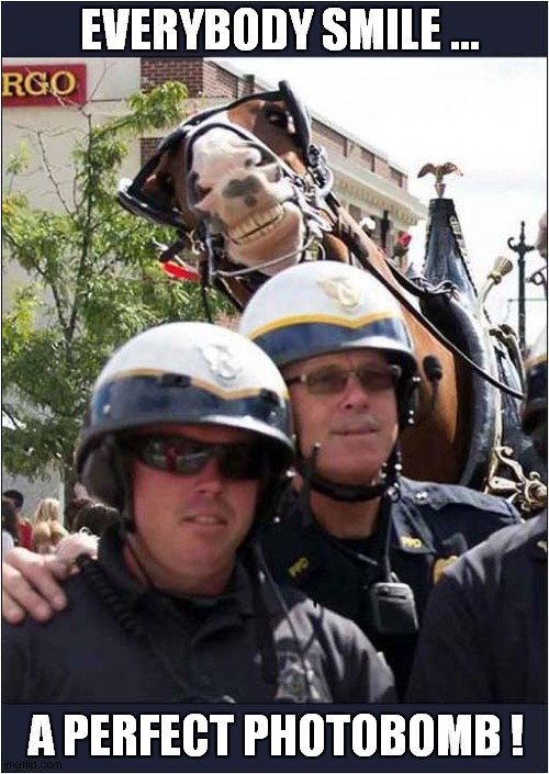 Excellent Timing ! | EVERYBODY SMILE ... A PERFECT PHOTOBOMB ! | image tagged in police,horse,photobomb | made w/ Imgflip meme maker