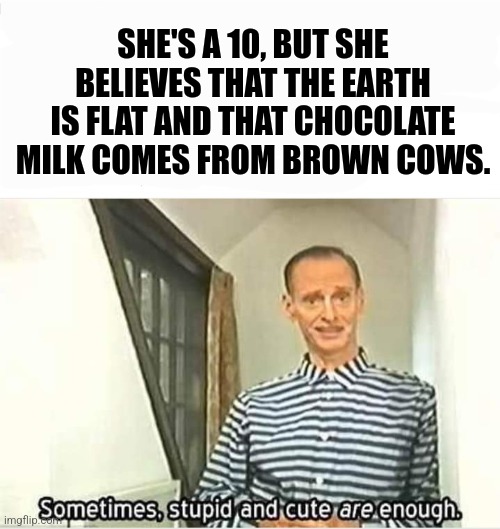 She's/He's A 10 | SHE'S A 10, BUT SHE BELIEVES THAT THE EARTH IS FLAT AND THAT CHOCOLATE MILK COMES FROM BROWN COWS. | image tagged in john waters,conspiracy theory,funny memes | made w/ Imgflip meme maker