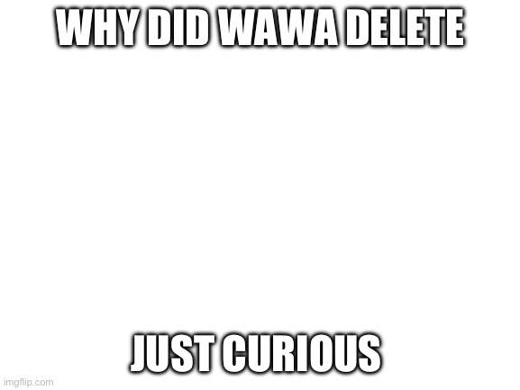 Blank White Template | WHY DID WAWA DELETE; JUST CURIOUS | image tagged in blank white template | made w/ Imgflip meme maker
