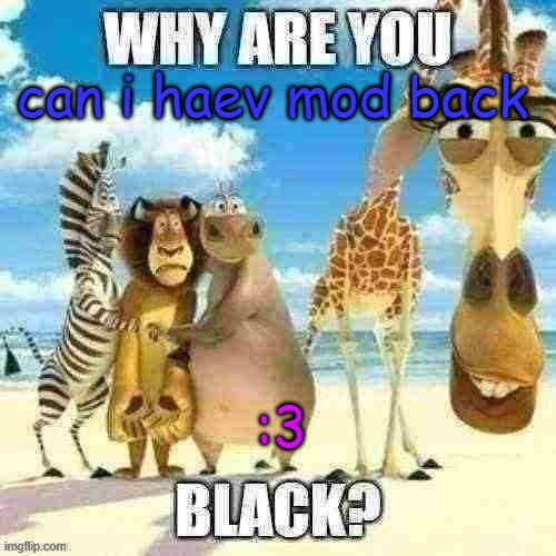 why are you black? | can i haev mod back; :3 | image tagged in why are you black | made w/ Imgflip meme maker