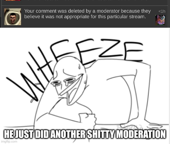 in a stream owned by the leader of team wheatless, I got this stream ban. | HE JUST DID ANOTHER SHITTY MODERATION | image tagged in funny,team wheatless | made w/ Imgflip meme maker