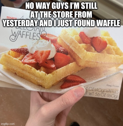 He’s even trapped in a box!!! | NO WAY GUYS I’M STILL AT THE STORE FROM YESTERDAY AND I JUST FOUND WAFFLE | image tagged in not mod | made w/ Imgflip meme maker